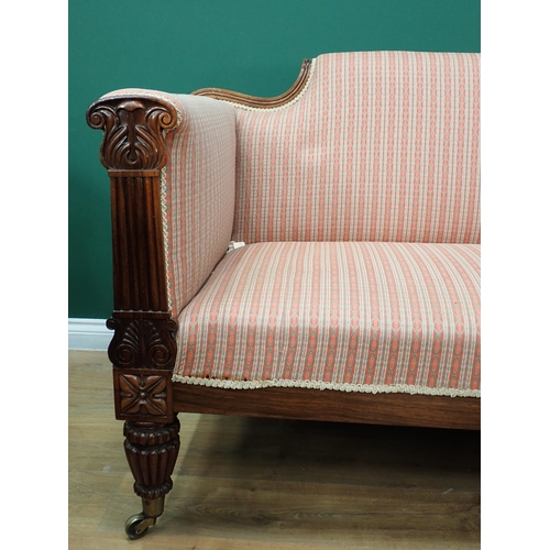 599 - A William IV mahogany Settee with scrolled back, reeded carved arm supports, lobed tapering supports... 