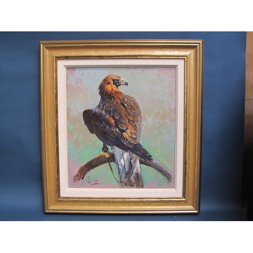 221 - MALCOLM COWARD. A Golden Eagle on a bow perch, signed, oil on board, 18 x 16in