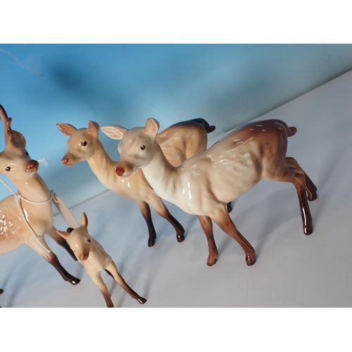 595 - A Beswick Fallow Buck, two Does and a Calf