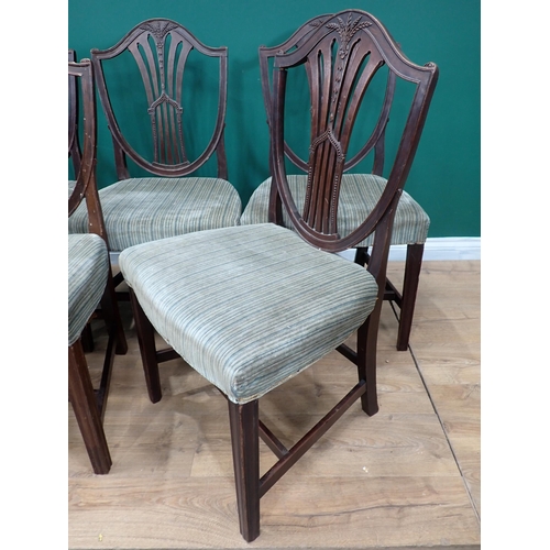 700 - A set of five 19th Century mahogany Dining Chairs with shield shaped backs, stuff-over seats on moul... 