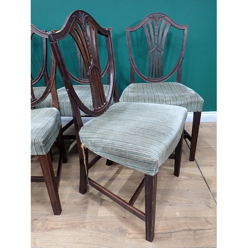 700 - A set of five 19th Century mahogany Dining Chairs with shield shaped backs, stuff-over seats on moul... 