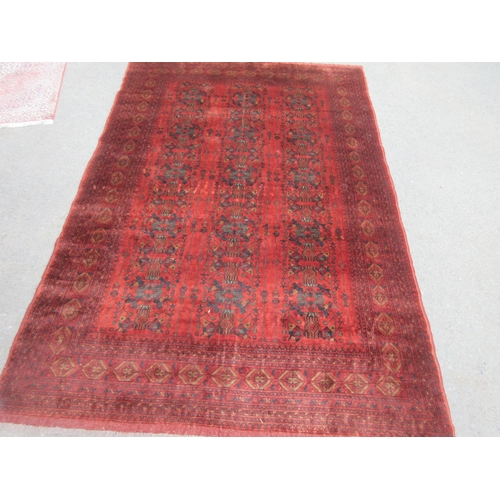 4 - A multi-bordered Afghan Carpet with geometric design on a red ground, 11ft 4in x 7ft 7in