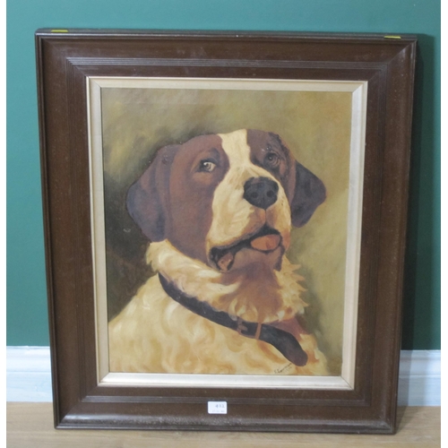 432 - S. LOWMAN. Head of a Dog, signed and dated 1910, oil on canvas, 20 x 16in