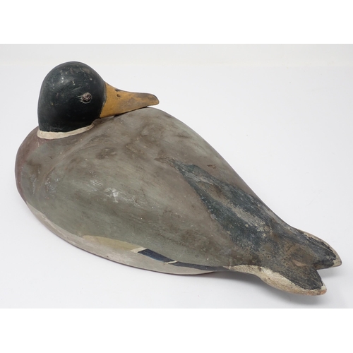 1562 - A vintage carved and painted Mallard drake Decoy with tethering lead eyelet 12 1/2in L