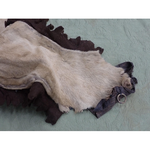 1655 - An antique taxidermy Lion Skin Rug with felt backing and full head mount in roaring attitude, bearin... 