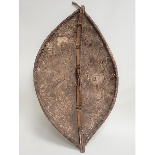 1484 - An East African painted hide Shield, possibly Masai 3ft 2in L x 2ft W