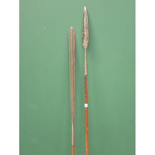 1485 - A South African Assai Lion Spear and another Spear