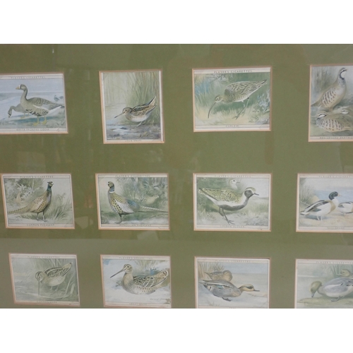 1643 - A framed collection of twenty five Gamebird, Wildfowl and Waders Cigarette Card