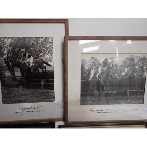 1662 - Three famed Horse Racing Photos of Point to Pointer 'Spycatcher II', another of Sally Piggott on Par... 