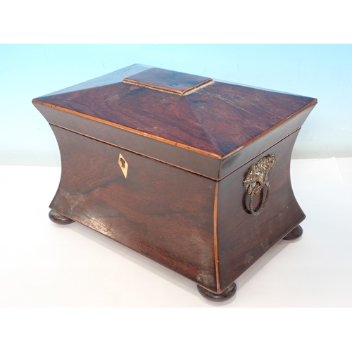 251 - A 19th Century rosewood two division Tea Caddy of waisted form with ring handles and on bun feet 8 1... 