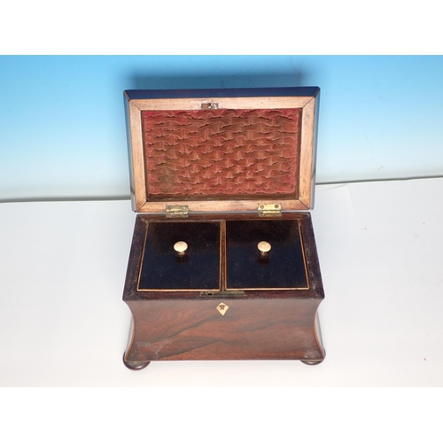 251 - A 19th Century rosewood two division Tea Caddy of waisted form with ring handles and on bun feet 8 1... 