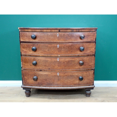 262 - A Regency mahogany bow fronted Chest of four long graduated drawers on turned supports 3ft 4in W x 3... 