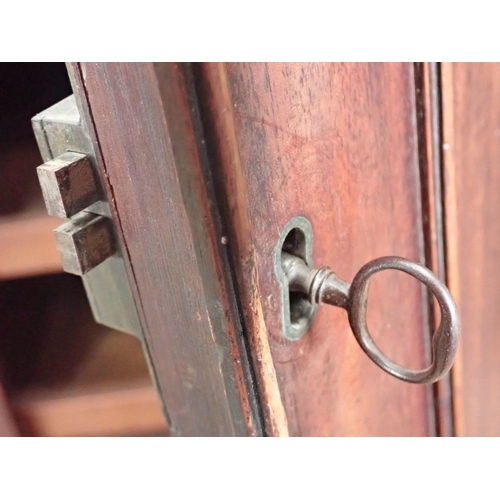 392 - A 19th Century panelled mahogany Linen Press fitted two drawers to base 6ft 9in H x 3ft 10in W