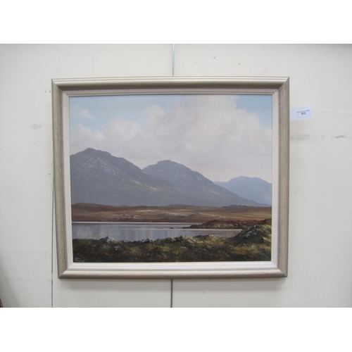 412 - EILEEN MEAGHER. Roundstone Bog, Connemara (1992), signed, oil on canvas, 20 x 24in