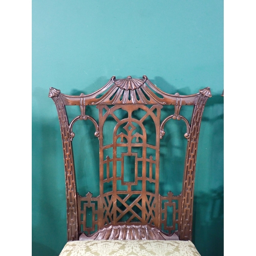 261 - A set of Chinese Chippendale style mahogany Dining Chairs with gold stuff over seats mounts upon clu... 