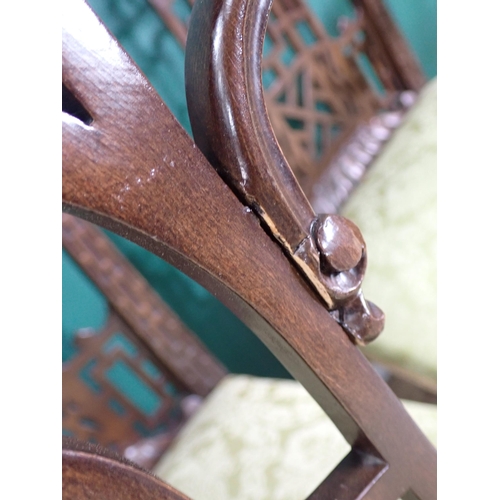 261 - A set of Chinese Chippendale style mahogany Dining Chairs with gold stuff over seats mounts upon clu... 