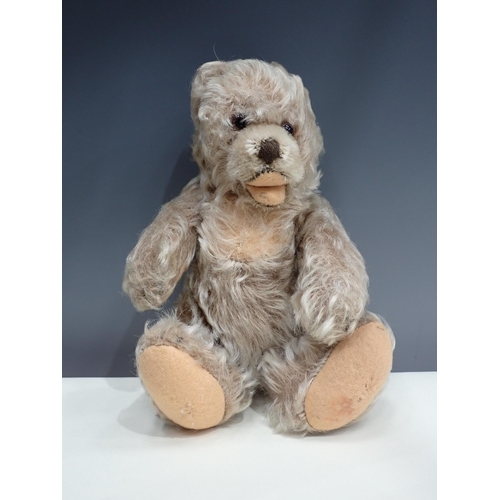 282 - A Schuco Teddy Bear