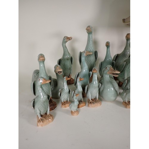 260 - A quantity of ceramic Duck Ornaments and Table Lamp