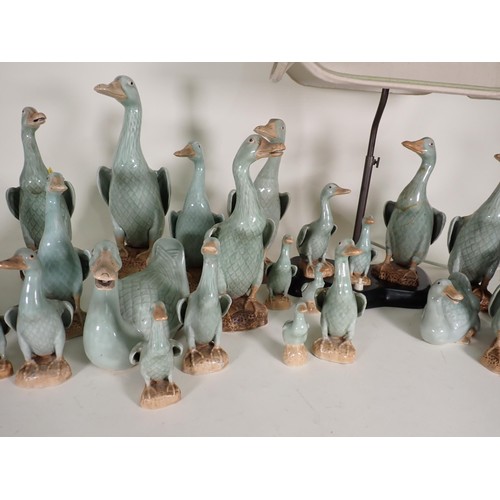 260 - A quantity of ceramic Duck Ornaments and Table Lamp