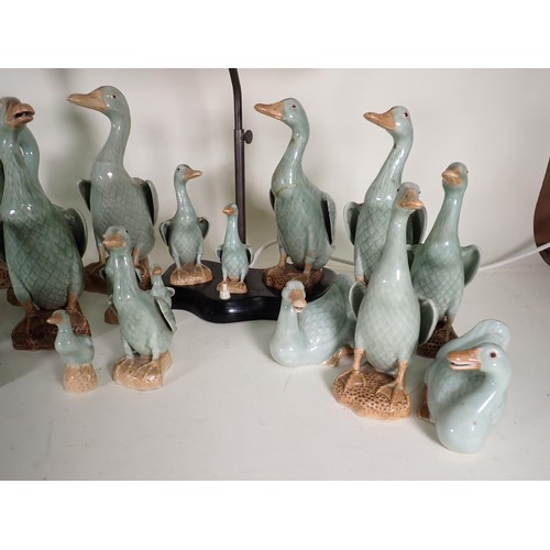 260 - A quantity of ceramic Duck Ornaments and Table Lamp