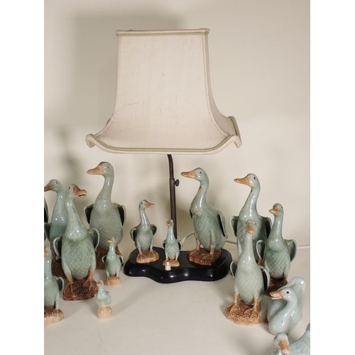 260 - A quantity of ceramic Duck Ornaments and Table Lamp