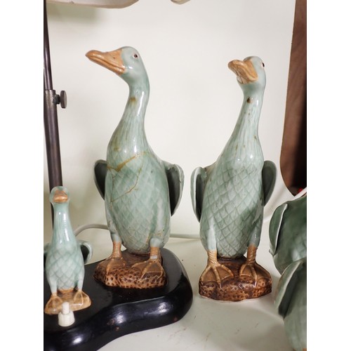 260 - A quantity of ceramic Duck Ornaments and Table Lamp