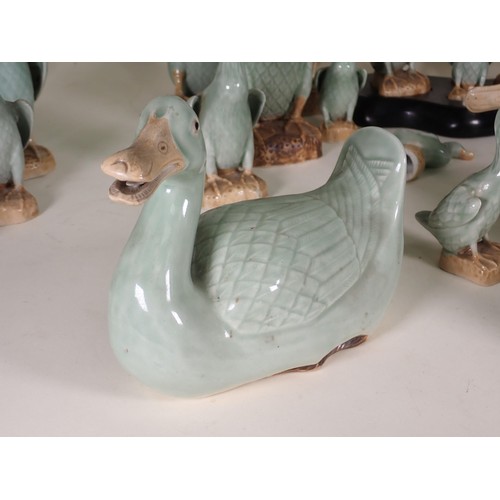 260 - A quantity of ceramic Duck Ornaments and Table Lamp