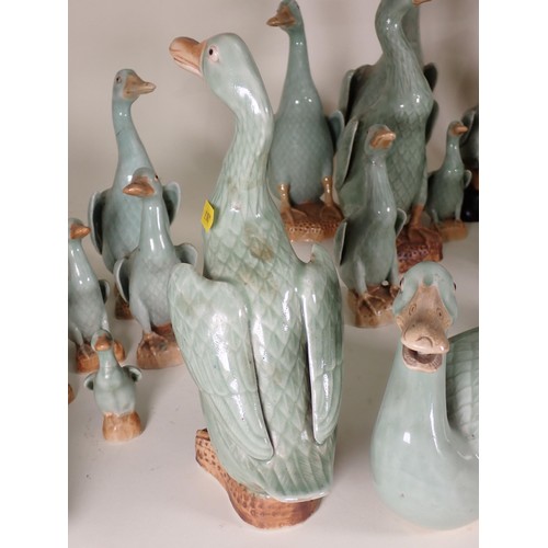 260 - A quantity of ceramic Duck Ornaments and Table Lamp