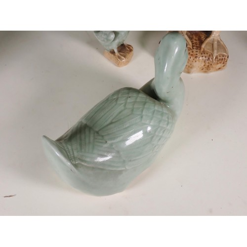 260 - A quantity of ceramic Duck Ornaments and Table Lamp