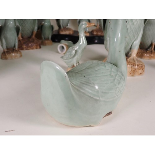 260 - A quantity of ceramic Duck Ornaments and Table Lamp