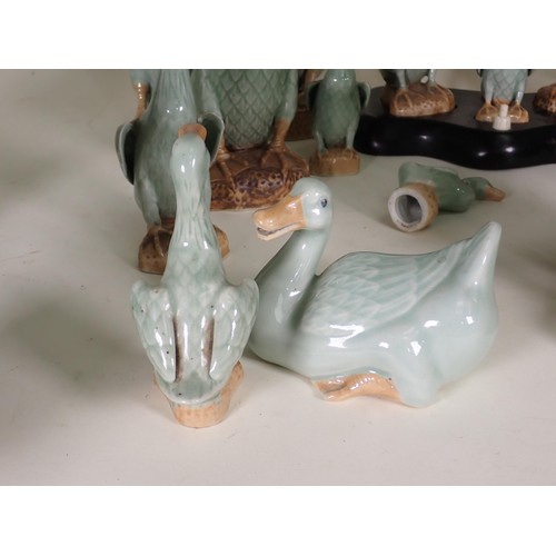 260 - A quantity of ceramic Duck Ornaments and Table Lamp