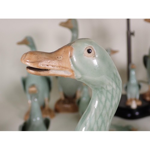 260 - A quantity of ceramic Duck Ornaments and Table Lamp