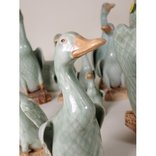 260 - A quantity of ceramic Duck Ornaments and Table Lamp