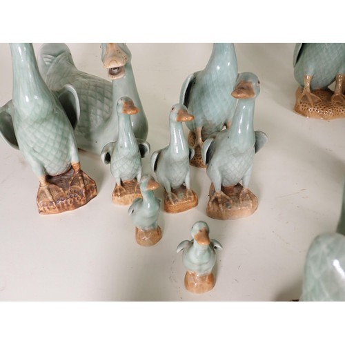 260 - A quantity of ceramic Duck Ornaments and Table Lamp