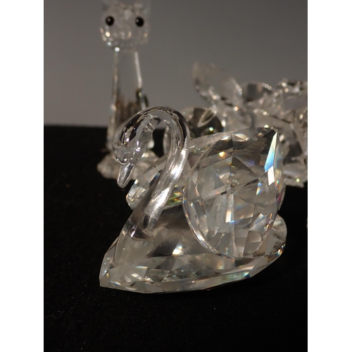 213 - A Collection of Swarovski animals including a Swan, Pig, Mouse, Fish, Duck, Cat, Dog, etc.