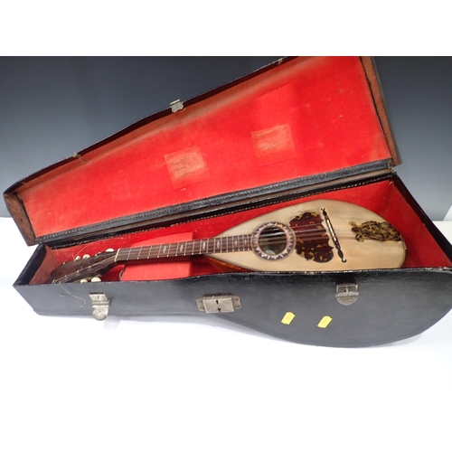 216 - A cased French Mandolin and a Squeeze Box.