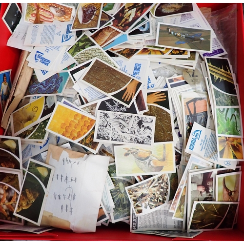 808 - A box of Cigarette Cards