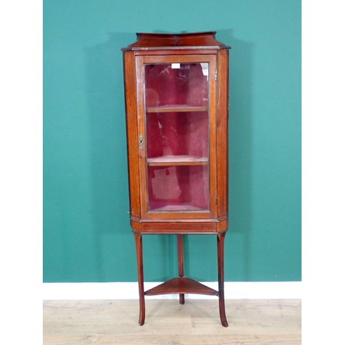 325 - An Edwardian mahogany and inlaid standing Corner Cabinet 5ft H x 1ft 9in W