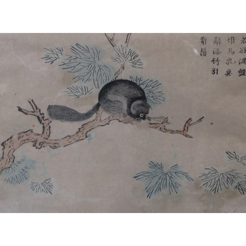 402 - CHINESE SCHOOL, EARLY 20TH CENTURY. Bird on a branch; and Possum on a branch, watercolour over print... 