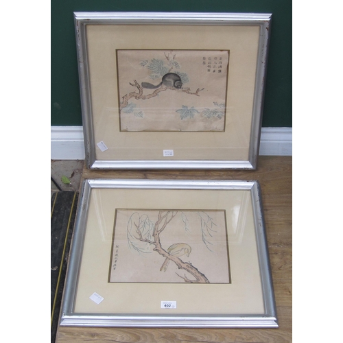 402 - CHINESE SCHOOL, EARLY 20TH CENTURY. Bird on a branch; and Possum on a branch, watercolour over print... 