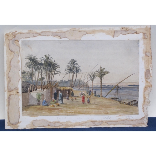 408 - A Collection of unframed watercolours by Elsa Hulls, Louisa Colfox, Harriet Crookshank, including la... 