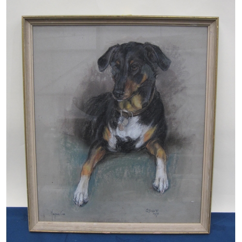 425 - MARJORIE COX. 'Spot'. A study of a dog, signed and dated 1971, pastel, 26 x 18in; a colour print aft... 