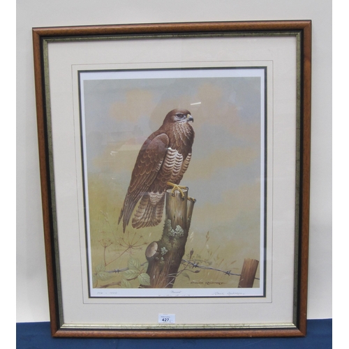 427 - AFTER DAVID ANDREWS. Barn Owls : Peregrine Falcon; Buzzard; reproductions in colours, pencil signed ... 