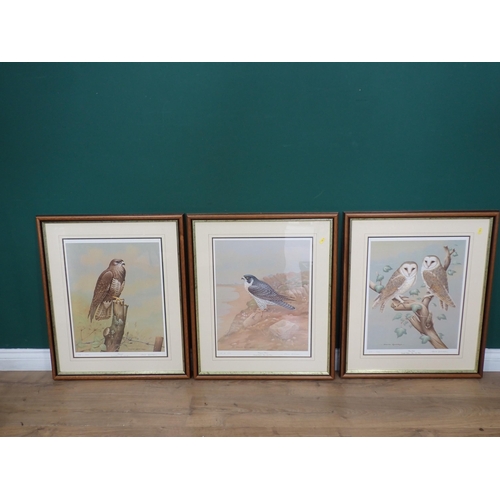 427 - AFTER DAVID ANDREWS. Barn Owls : Peregrine Falcon; Buzzard; reproductions in colours, pencil signed ... 