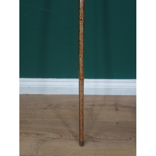 766 - A hazel Walking Stick with carved salmon handle