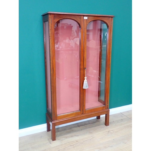 561 - A mahogany glazed Display Cabinet, with shaped surmount above a pair of arched glazed doors and rais... 