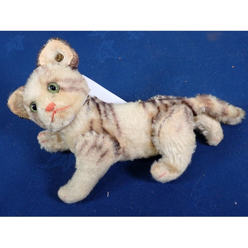 71 - A Steiff jointed Tabby Cat with button, 8in, a Steiff jointed Teddy Bear, button and tag to ear 10in... 