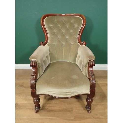 727 - A Victorian mahogany framed Armchair with green button upholstery 3ft H x 2ft 2in W