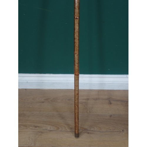 581 - A hazel Walking Stick with carved salmon handle