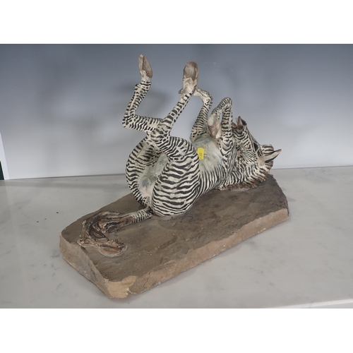 451 - PIERRE DIAMANTOPOULO. A stoneware Model of a Zebra lying on its back, and mounted on a stone plinth,... 